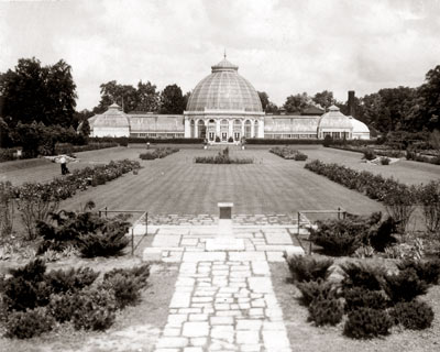 Detroit's Belle Isle Conservatory's Rose Garden C. 1930