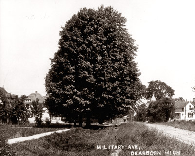 Dearborn's Military Ave With Tree C. 1900